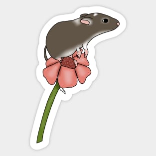 Cute brown gerbil on a flower Sticker